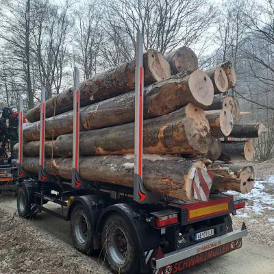 Strugara Radanovic 30