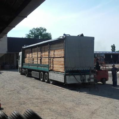 Strugara Radanovic 32