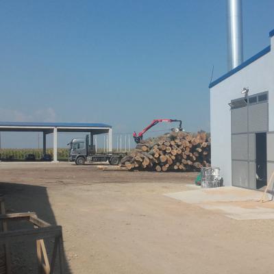 Strugara Radanovic 33