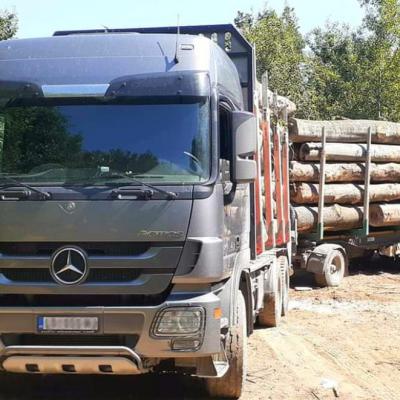 Strugara Radanovic10