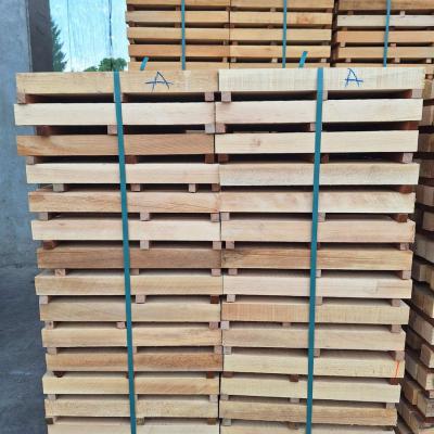 Strugara Radanovic17