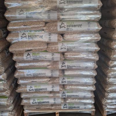 Strugara Radanovic18