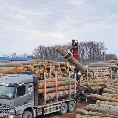 Strugara Radanovic42