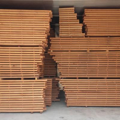 Strugara Radanovic44