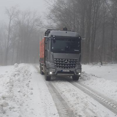 Strugara Radanovic46